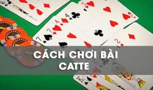 Chinh Phục Sắc Tê Xin88 Bí Kíp Thắng Lớn Từ Các Cao Thủ Bài