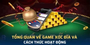 Bí Kíp Soi Cầu Xóc Đĩa Xin88 Bất Bại Từ Các Chuyên Gia Hàng Đầu